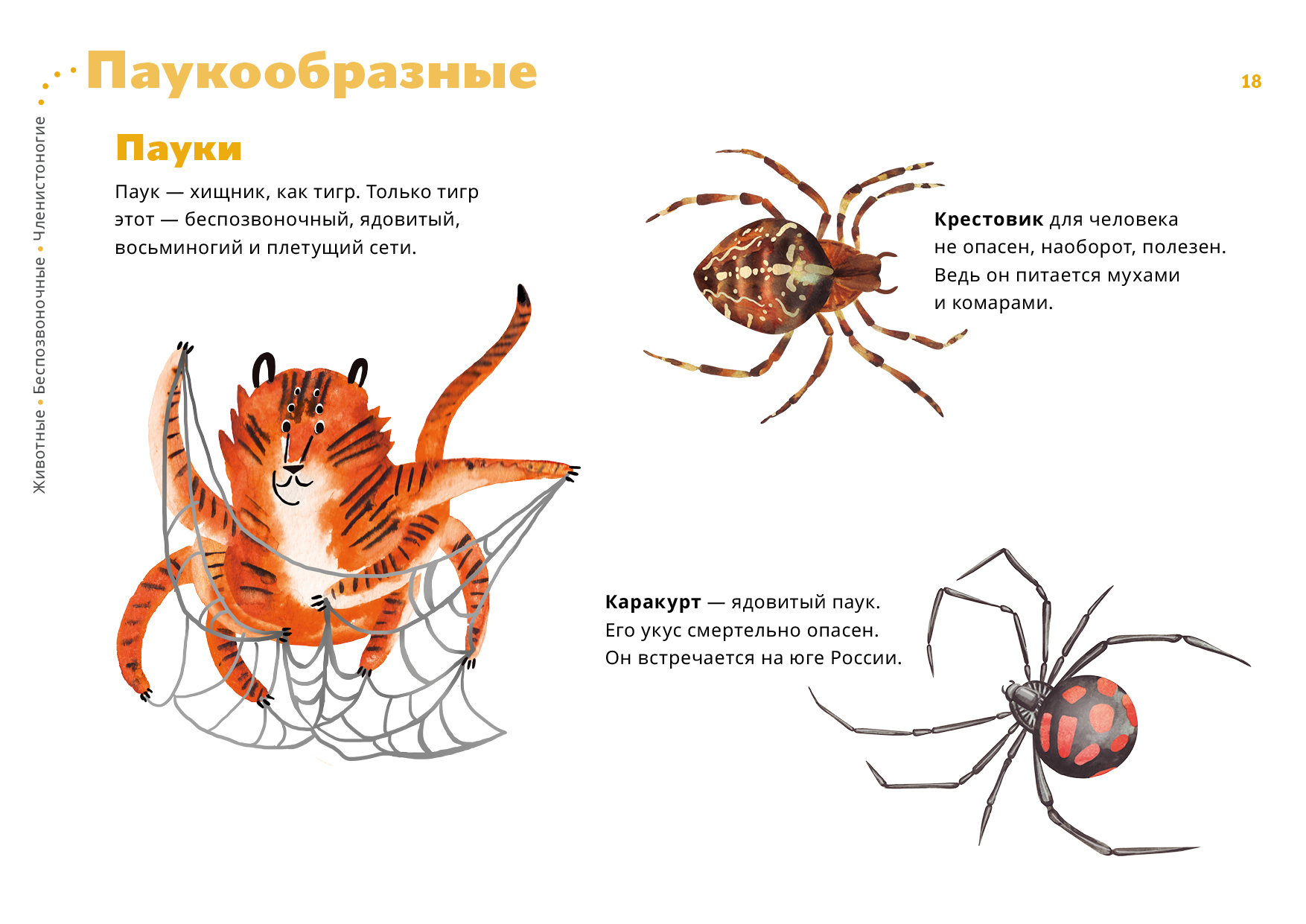 Пауки