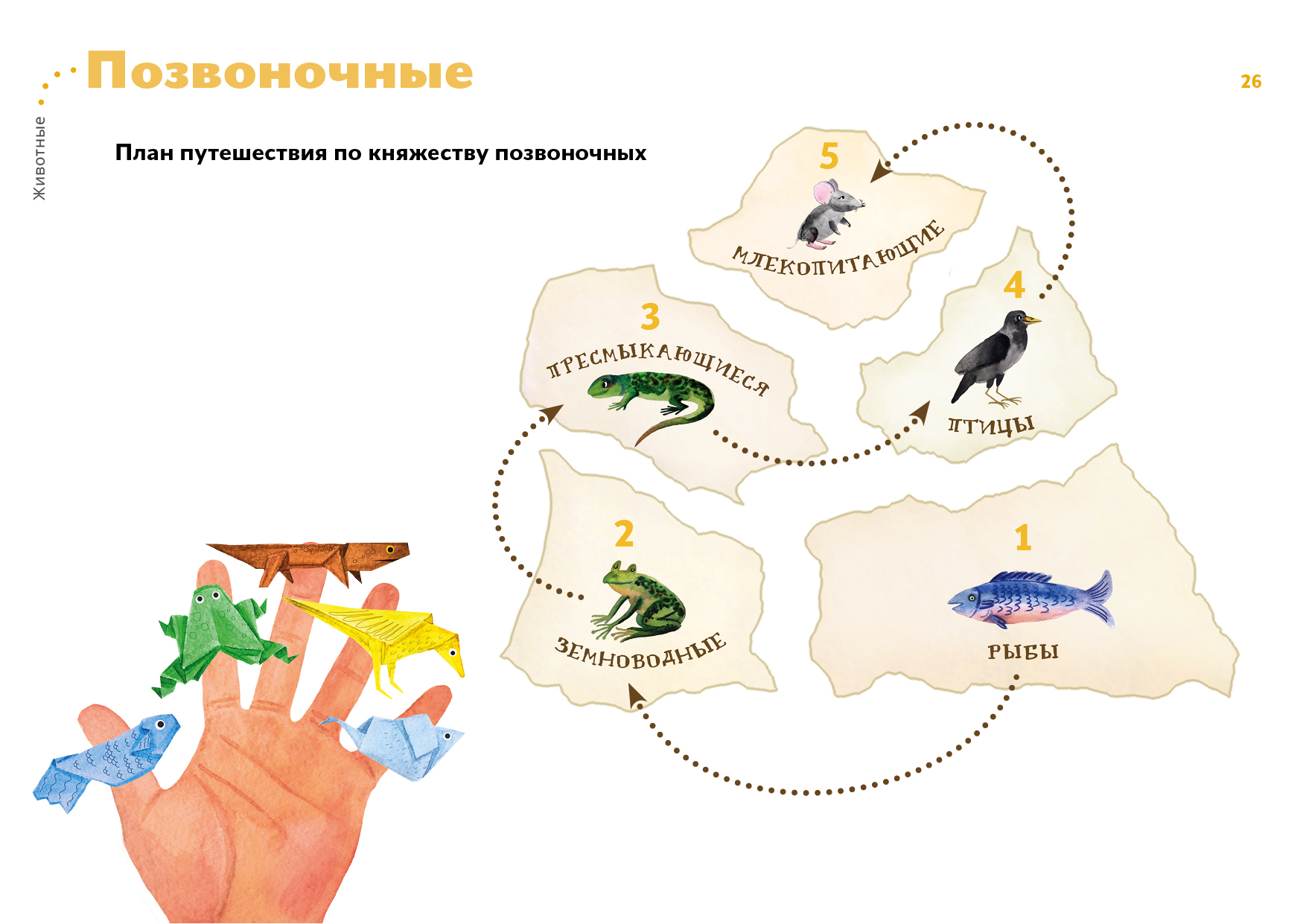 Позвоночные