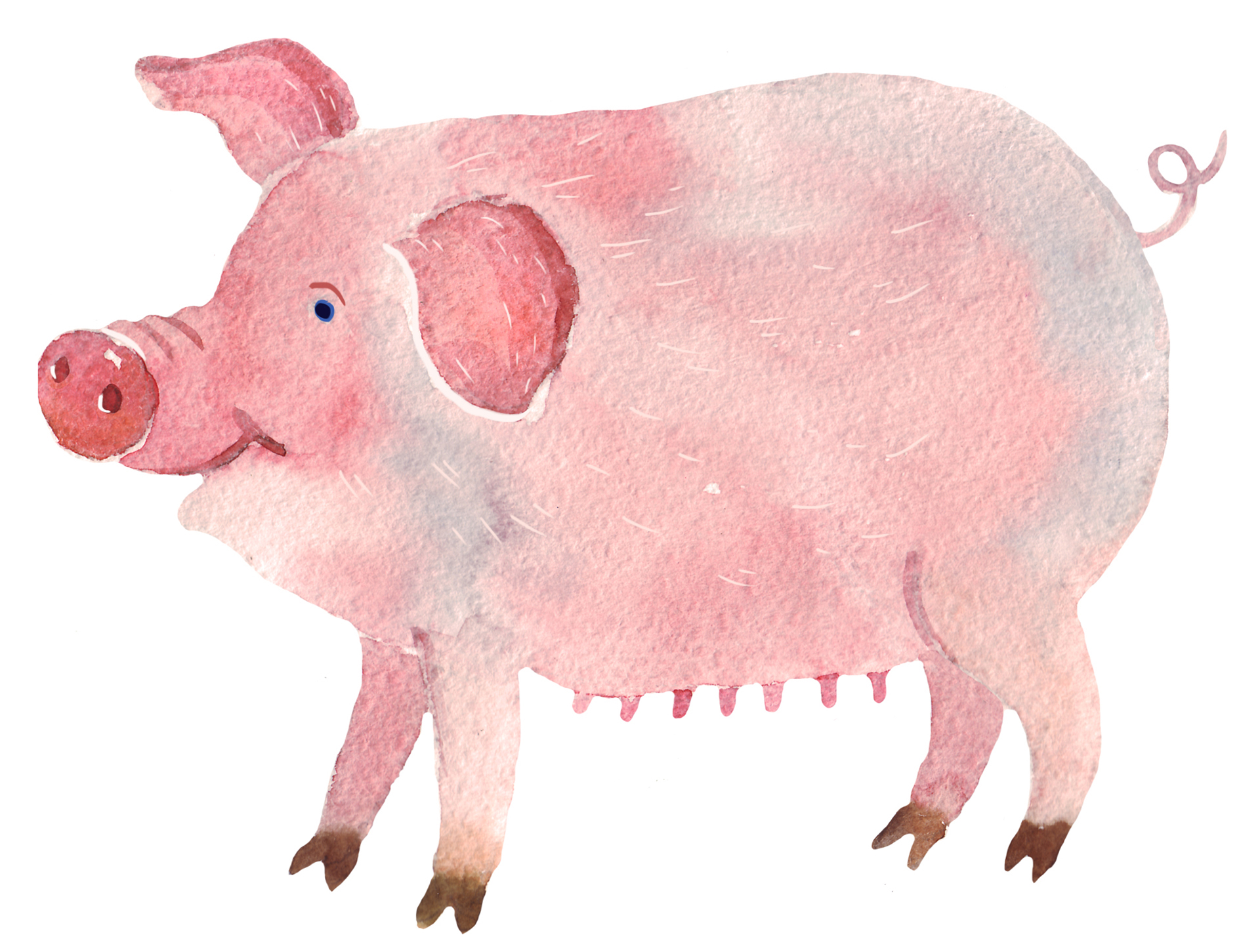 Свинья 18. Глобал эко свинокомплекс. Свиньи на полотнах художников. Свинья с поросятами. Свиньи в живописи.