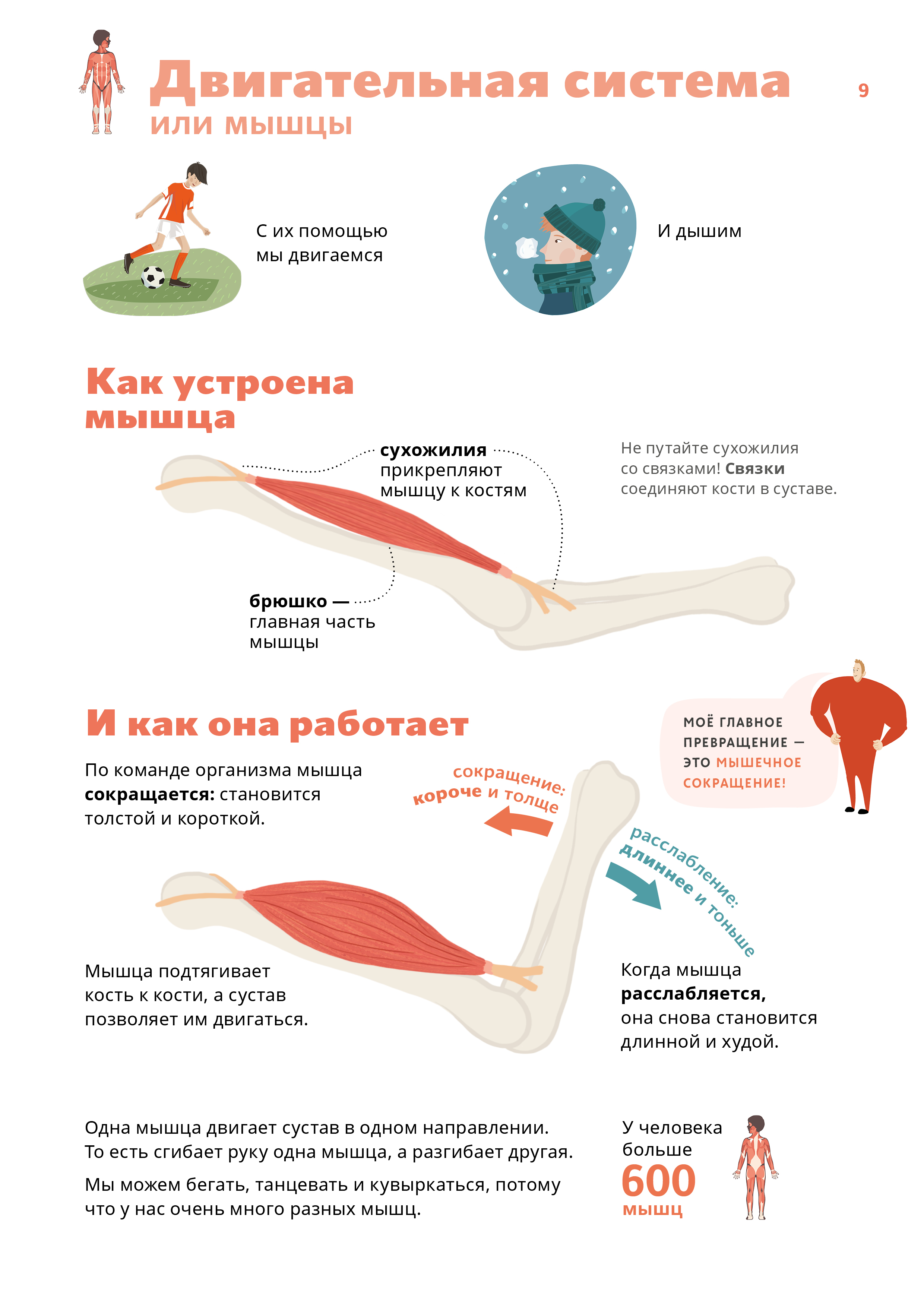 Двигательная активность и закаливание фото