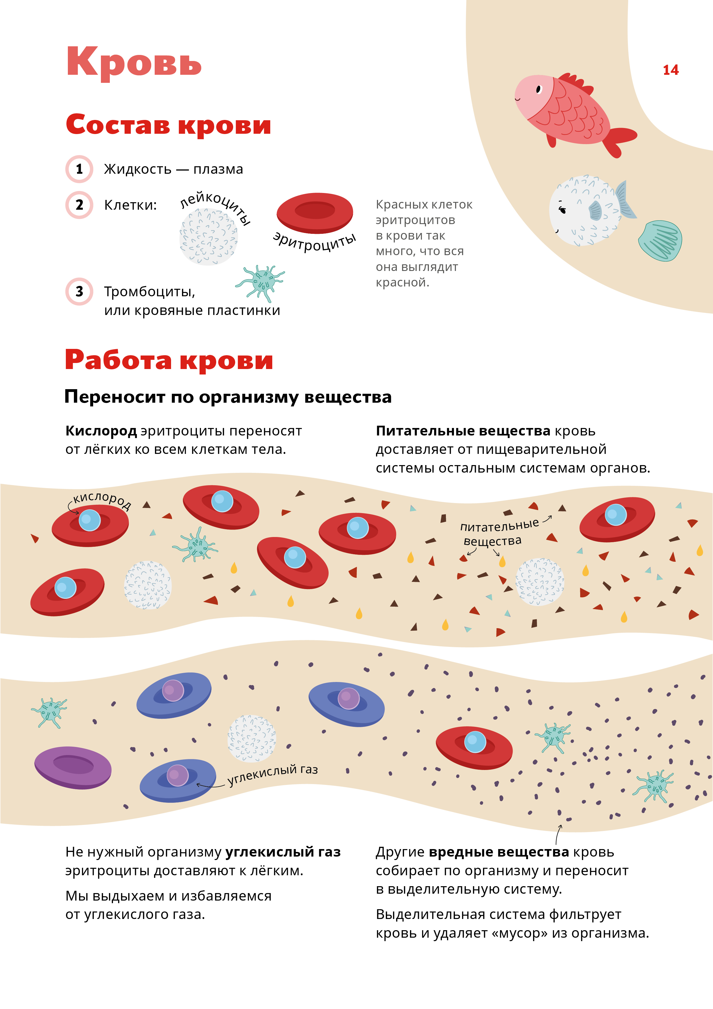 Тип образца цельная кровь