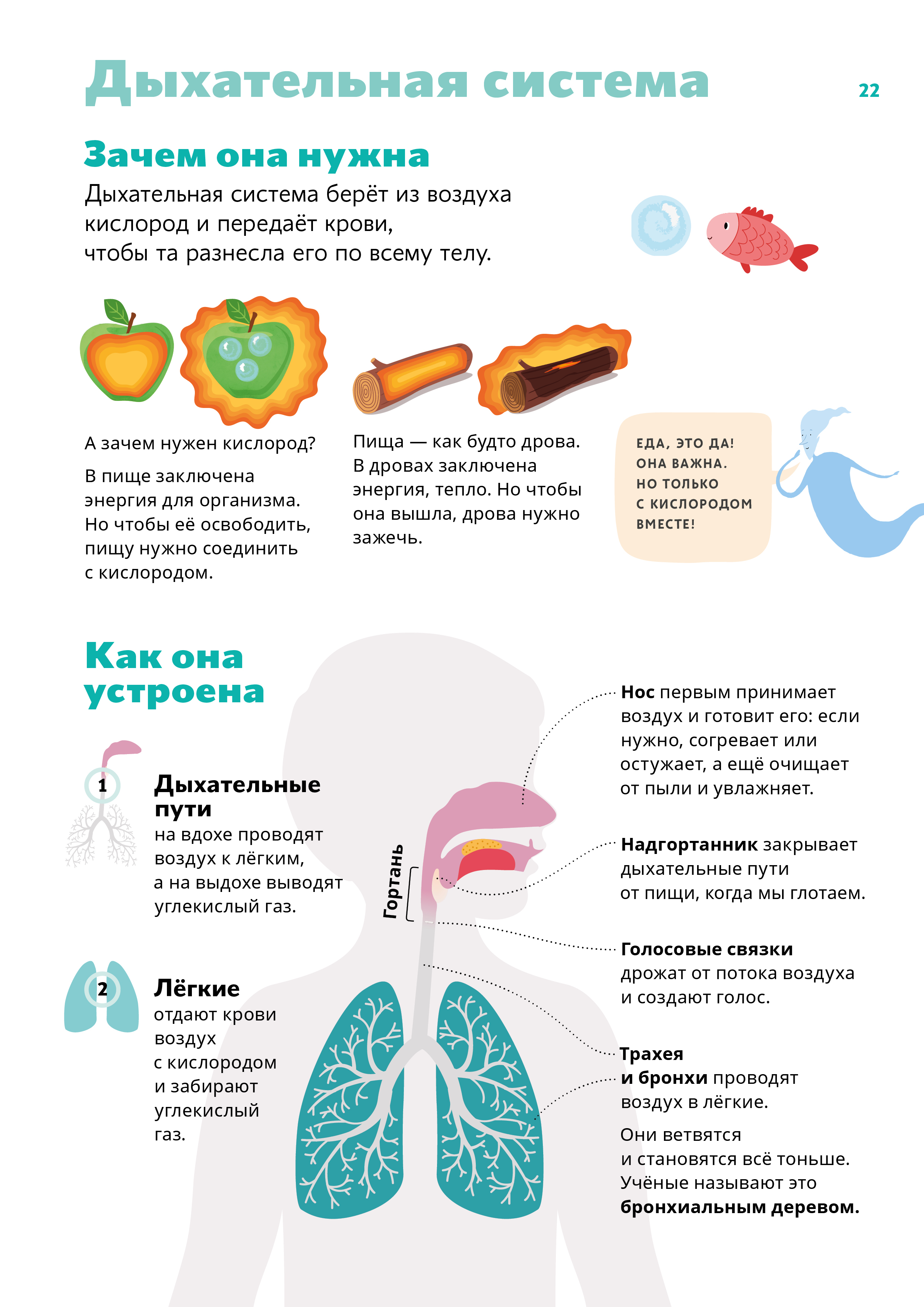 План конспект по дыхательной гимнастике