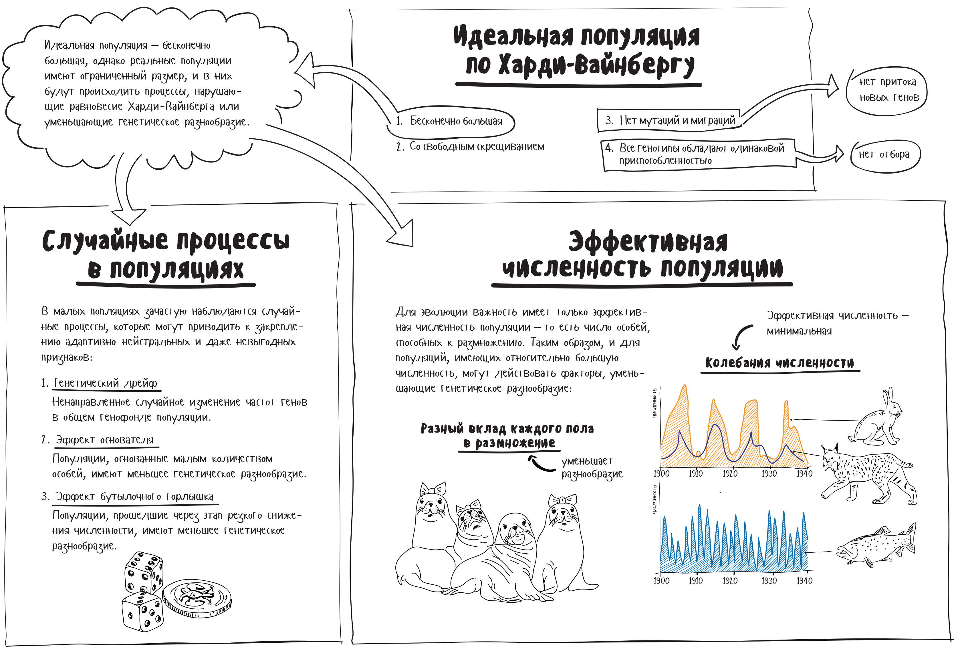 Случайные процессы в популяциях. Эффективная численность (конспект)