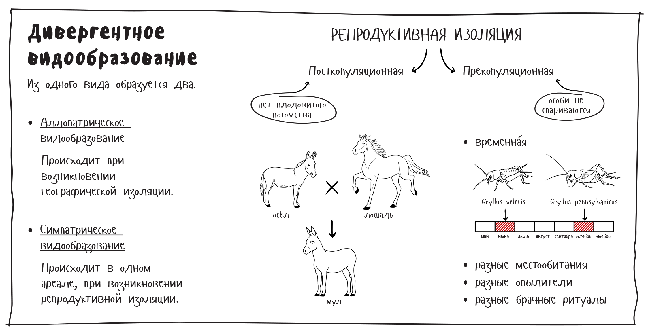 Какой способ видообразования изображен на рисунке ответ поясните почему такая изоляция популяций