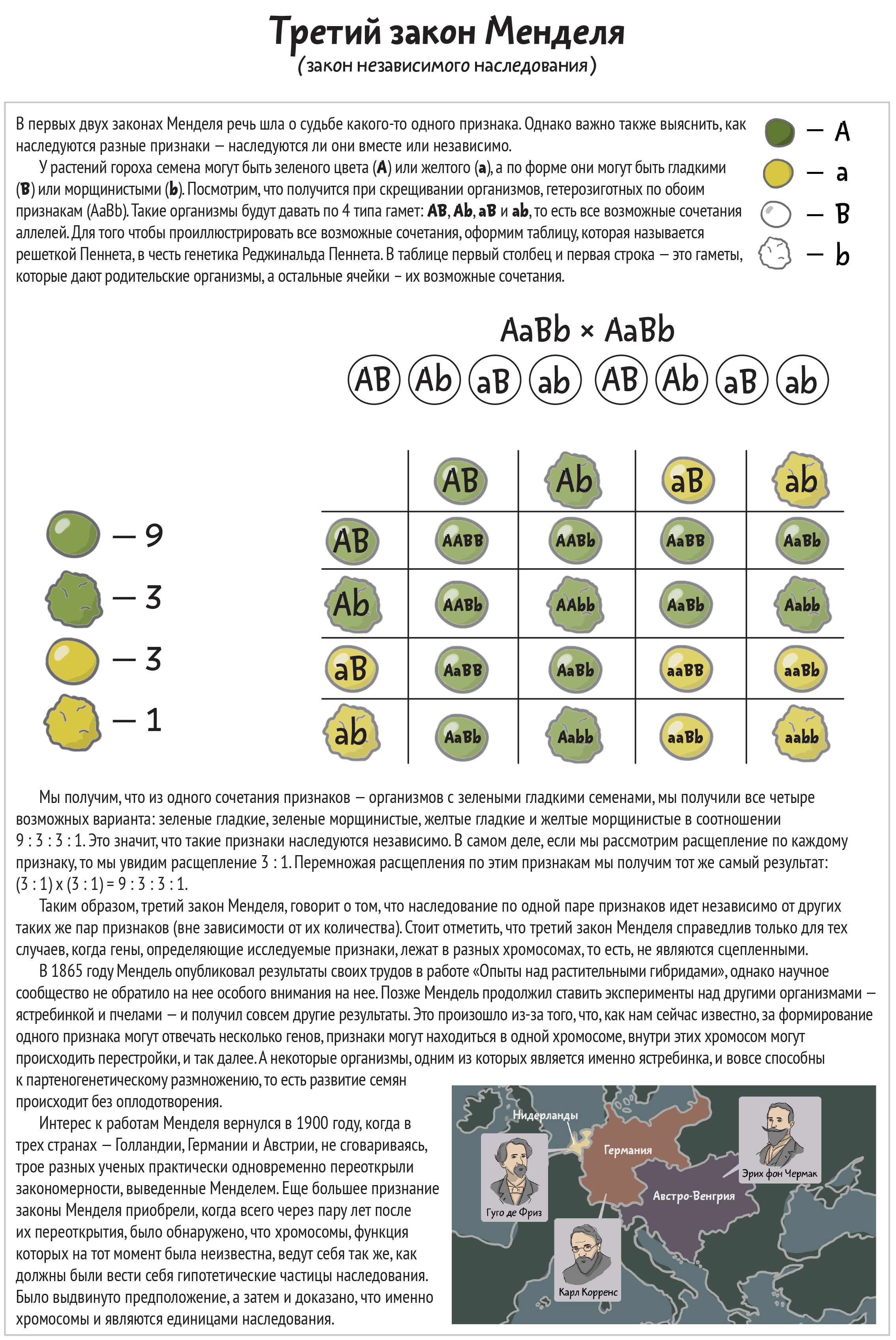 Законы менделя год. 3 Закон Грегора Менделя схема. 3 Закон Менделя это закон независимого наследования признаков. 3 Й закон Менделя формулировка. Закон независимого наследования признаков Менделя формулировка.