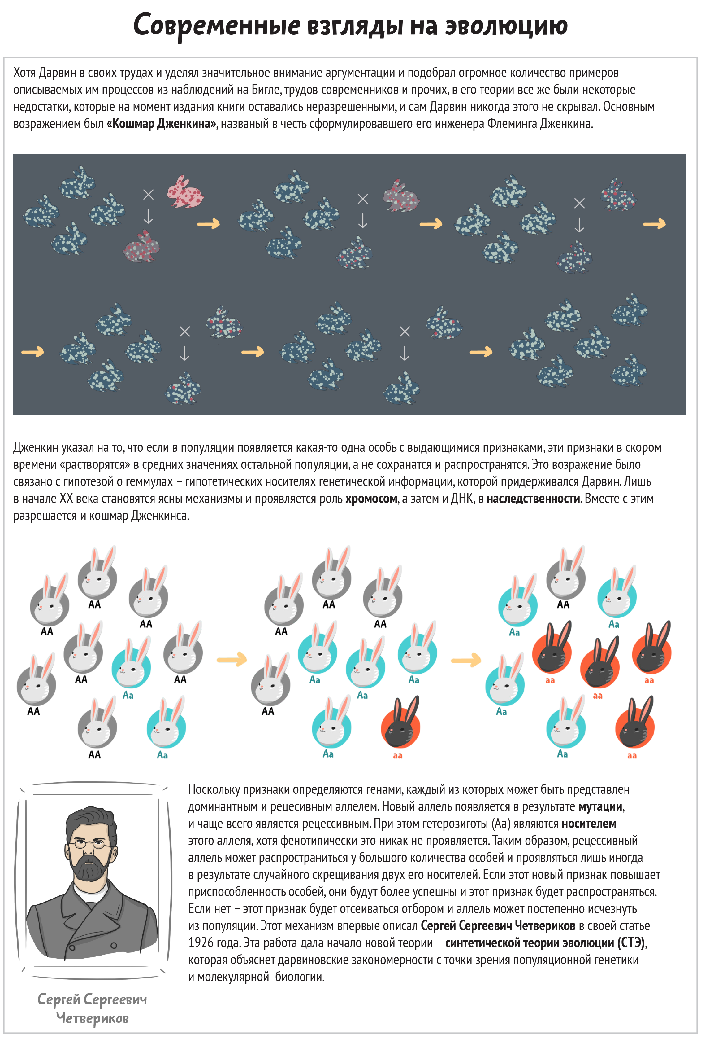 Современные взгляды на эволюцию (конспект)