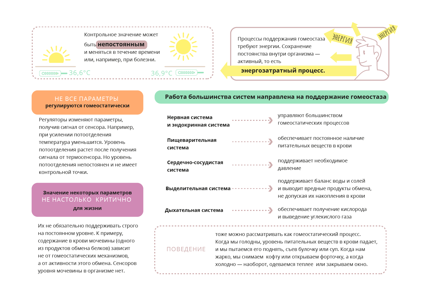 Гомеостатические процессы в организме