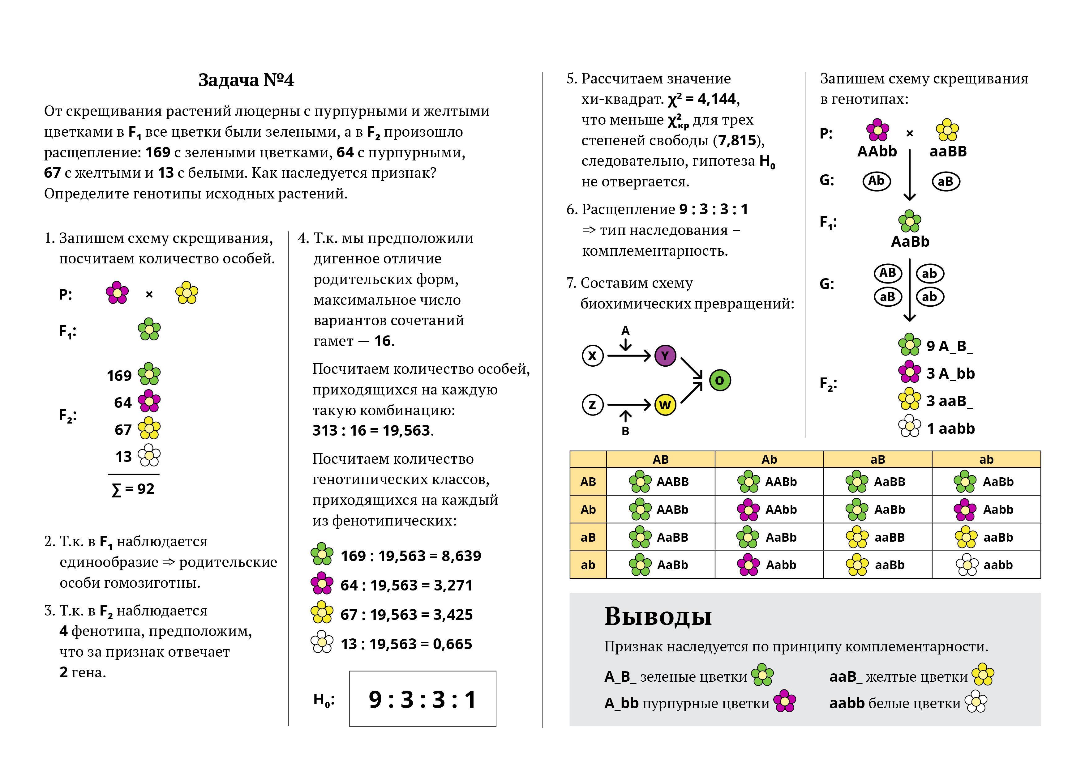 При скрещивании растений флокса