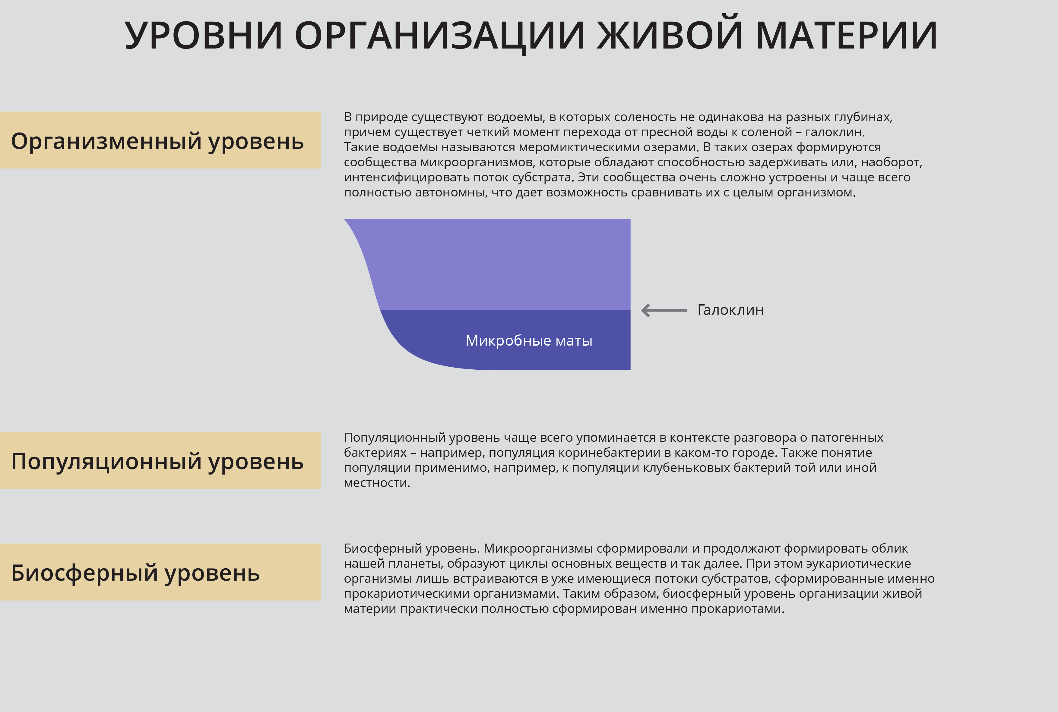 Какие уровни организации материи